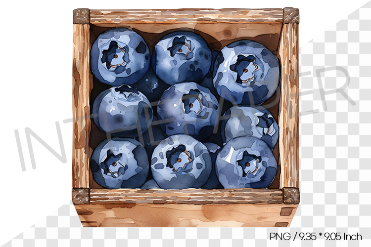 Fruit Vector Image 22