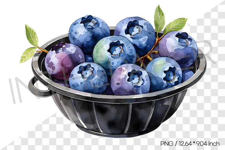 Fruit Vector Image 21