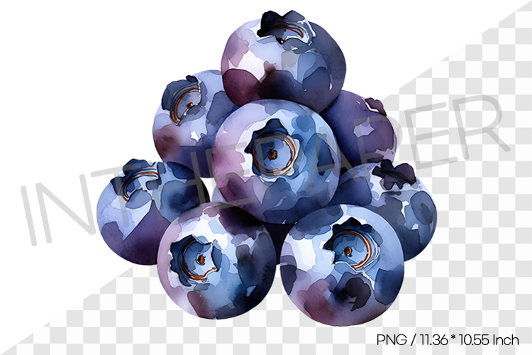 Fruit Vector Image 8