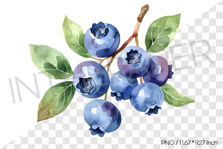 Fruit Vector Image 7