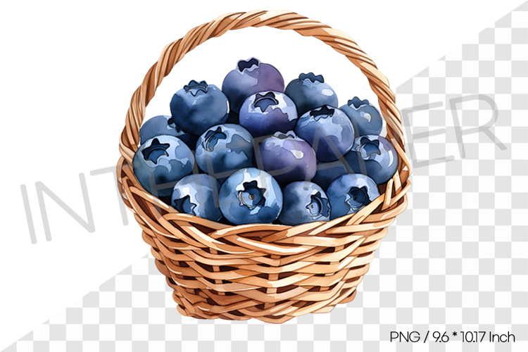 Fruit Vector Image 23