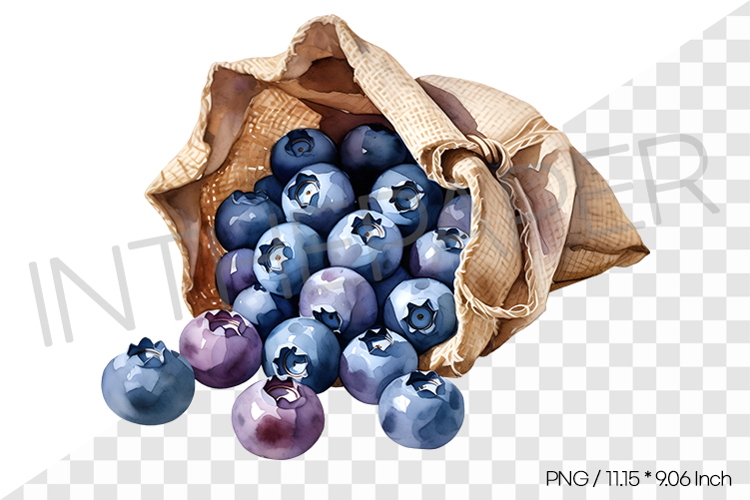 Fruit Vector Image 5