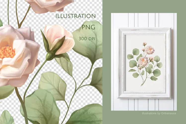 Blush Pink Garden Roses and Sage Leaves PNG