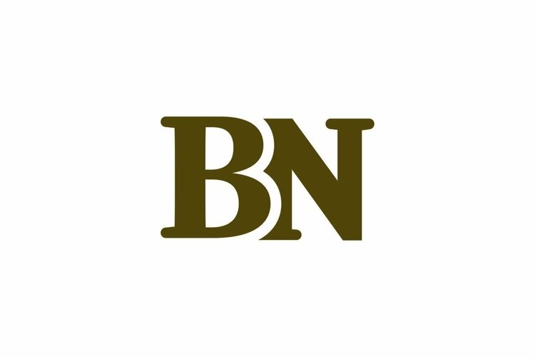 BN logo design vector template example image 1