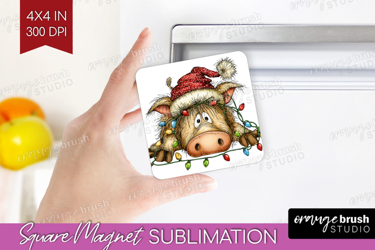Boar Tangled In Christmas Lights Magnet Sublimation Funny