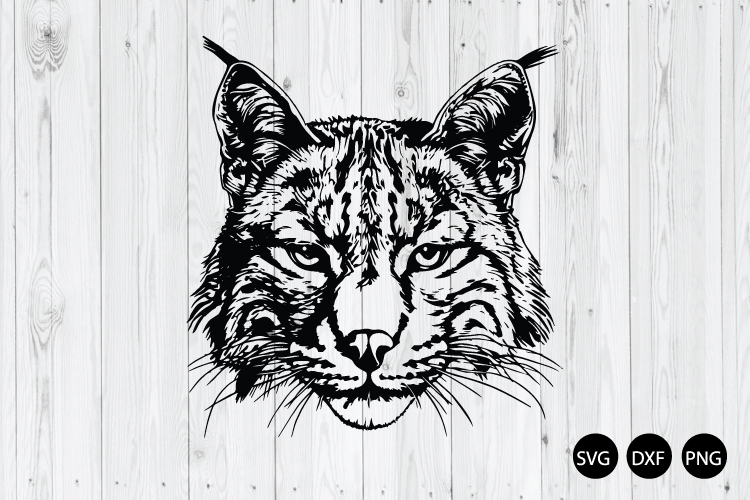 Bobcat SVG, Wild Cat SVG, Cat SVG, Animal SVG