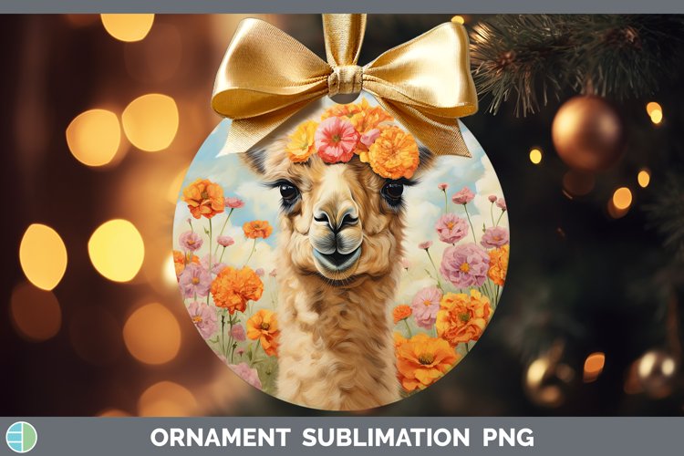 Baby Sublimation Designs Image 16