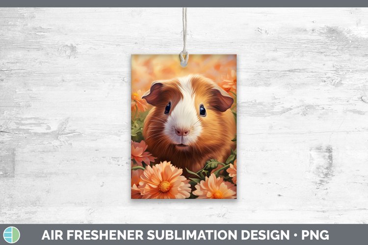 Baby Sublimation Designs