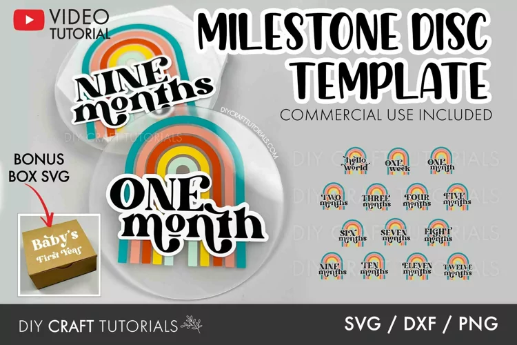 Baby Milestone SVG | Retro Rainbow Milestone Discs