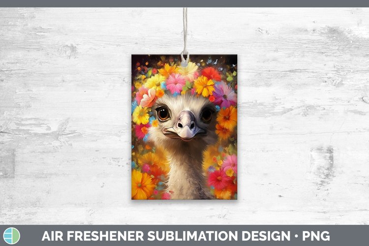 Baby Sublimation Designs