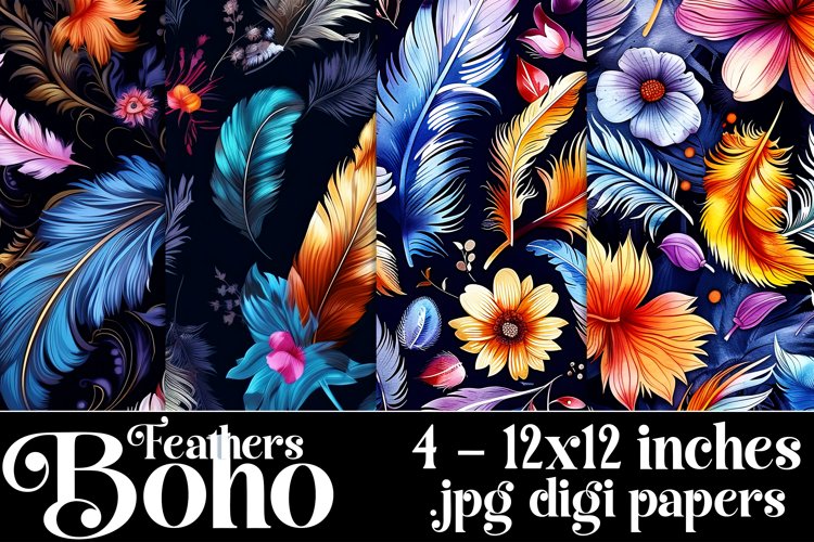 Feather Clipart Image 16