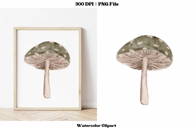 Boho Watercolor Mushroom Clipart | Mushroom Sublimation Png