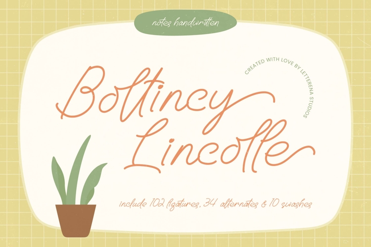 Boltincy Lincolle - Notes Handwritten
