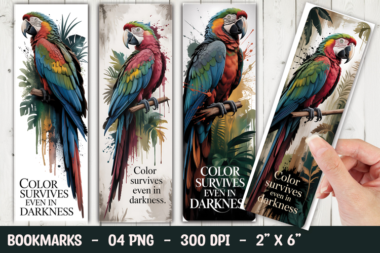 Parrot Illustration Image 13