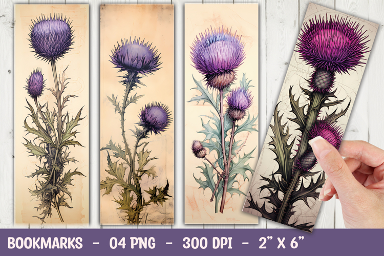Nature Illustration Image 10
