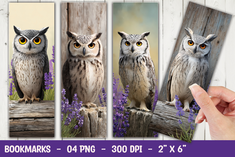 Owl Graphic Image 13