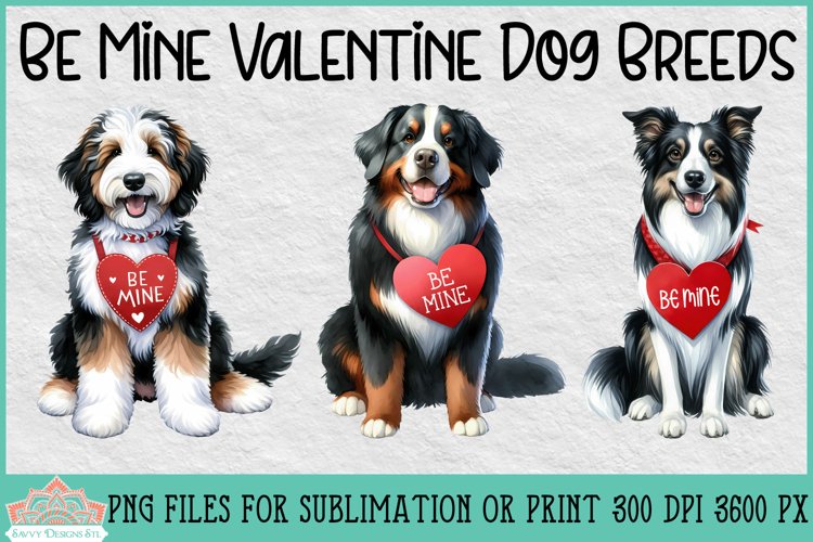 Border Collie Clipart