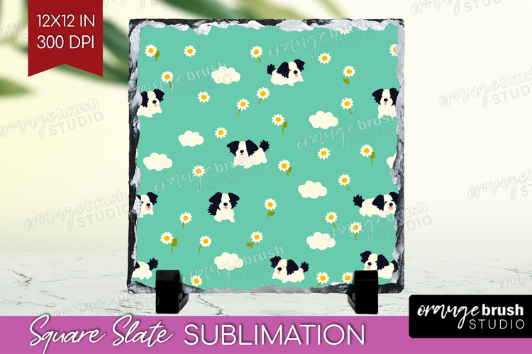 Border Collie Dog Slate PNG Cute Chibi Puppy Square Slate