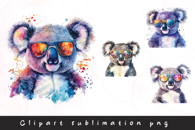 Cute Koala Pictures Image 15