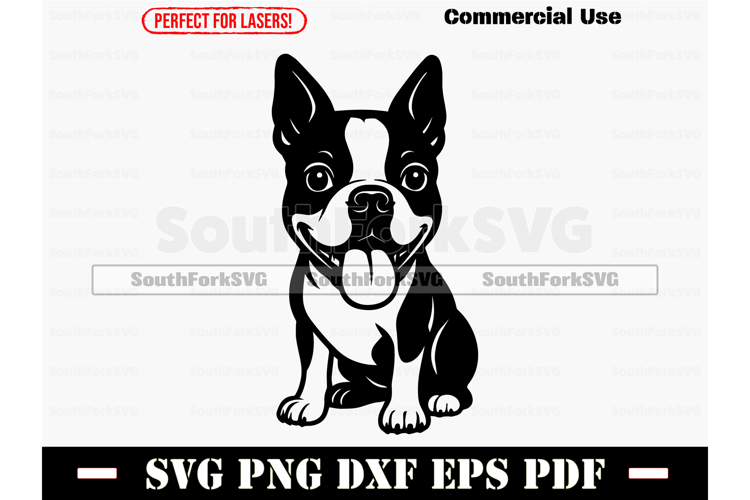 Boston Terrier big head SVG PNG DXF EPS PDF