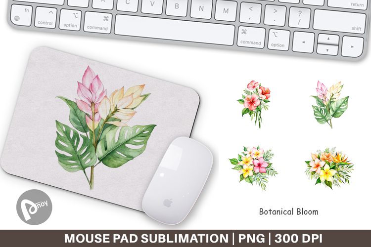 Mouse Png Image 2