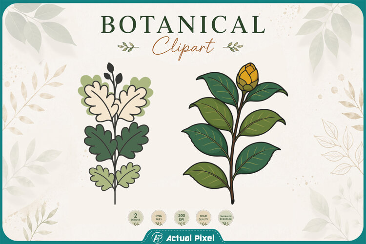 Boho Botanical Leaves & Foliage Cliparts example image 1