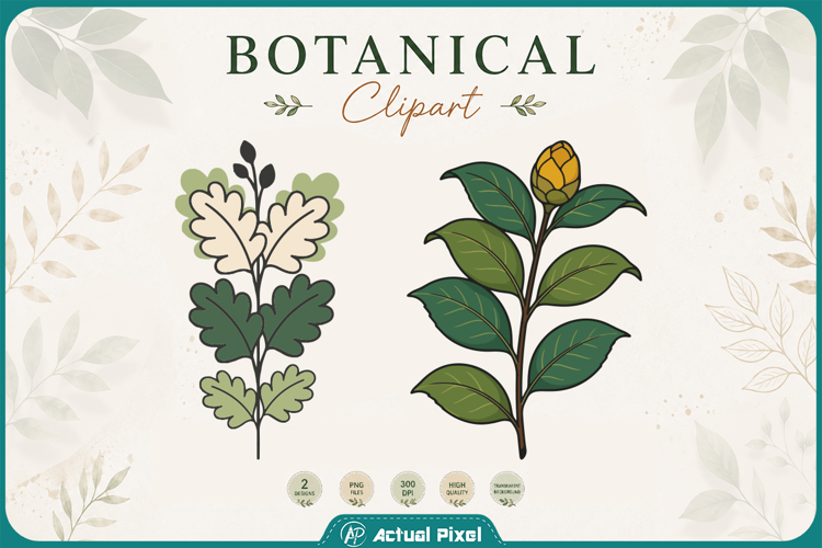Boho Botanical Leaves & Foliage Cliparts
