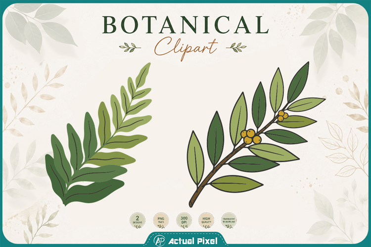 Boho Botanical Leaves & Foliage Cliparts