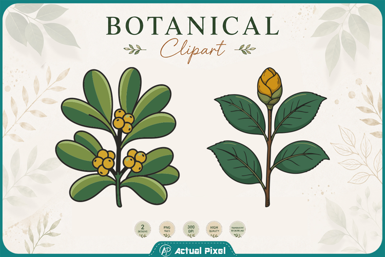Boho Botanical Leaves & Foliage Cliparts