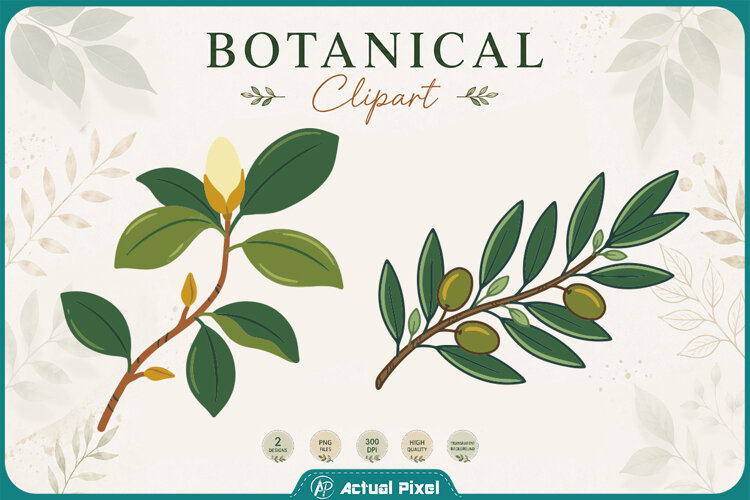 Boho Botanical Leaves & Foliage Cliparts example image 1