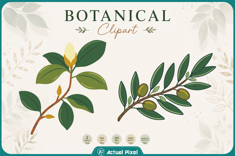 Boho Botanical Leaves & Foliage Cliparts