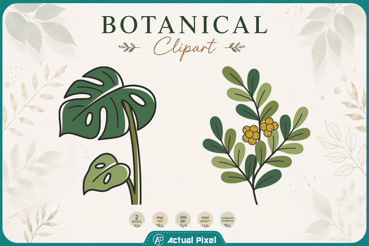 Boho Botanical Leaves & Foliage Cliparts