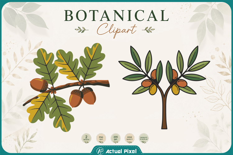 Boho Botanical Leaves & Foliage Cliparts