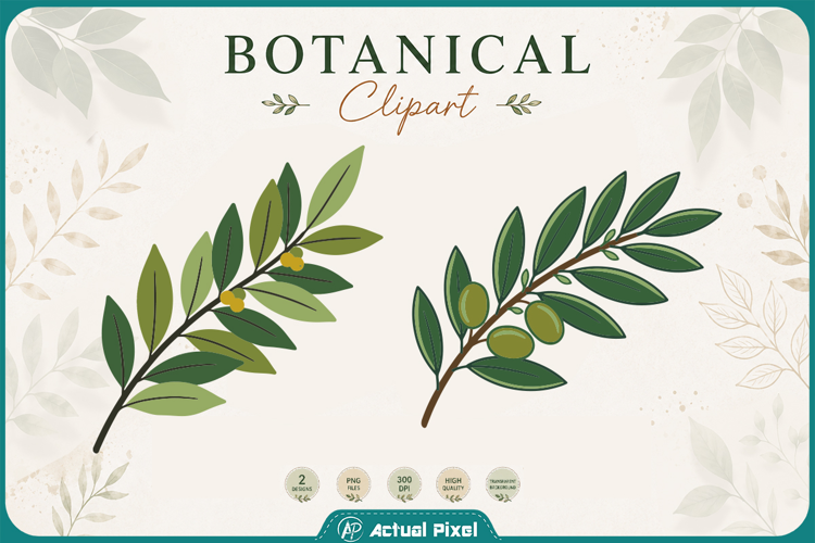 Boho Botanical Leaves & Foliage Cliparts