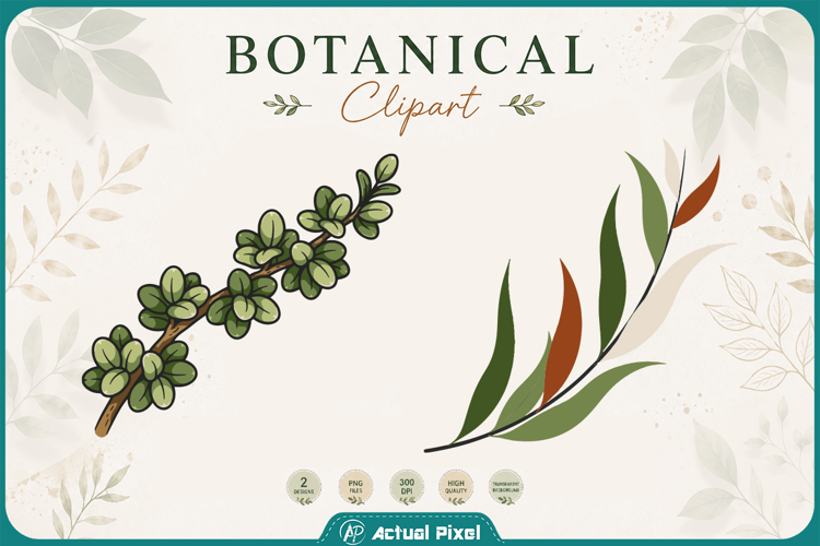 Boho Botanical Leaves & Foliage Cliparts