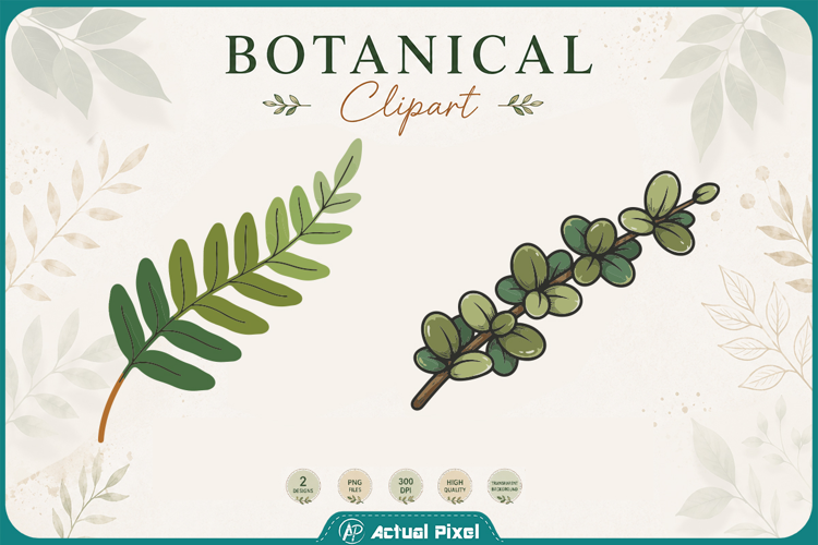 Boho Botanical Leaves & Foliage Cliparts