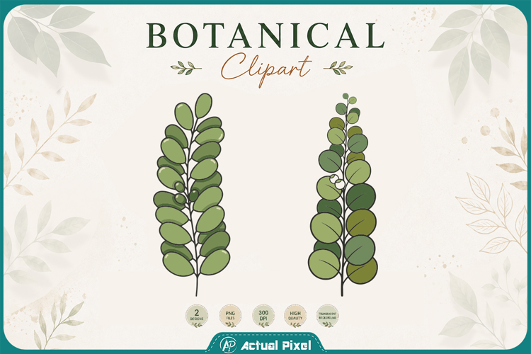 Boho Botanical Leaves & Foliage Cliparts