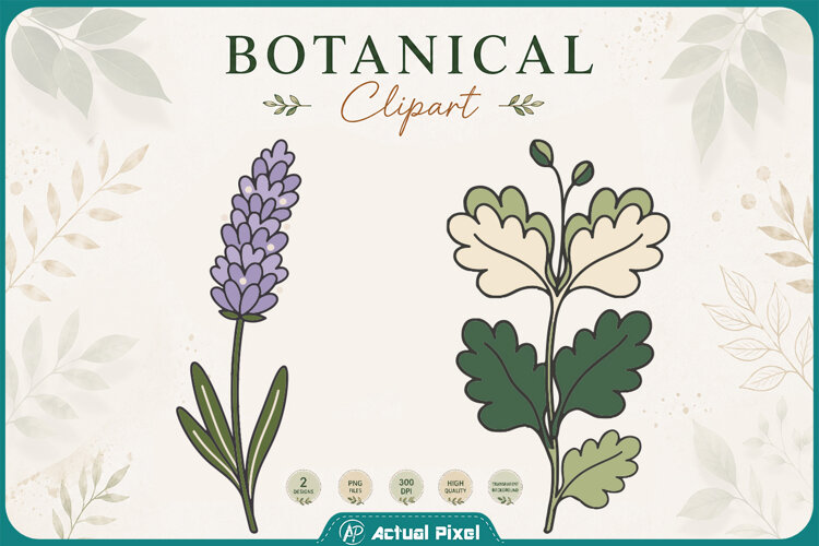 Boho Botanical Leaves & Foliage Cliparts example image 1