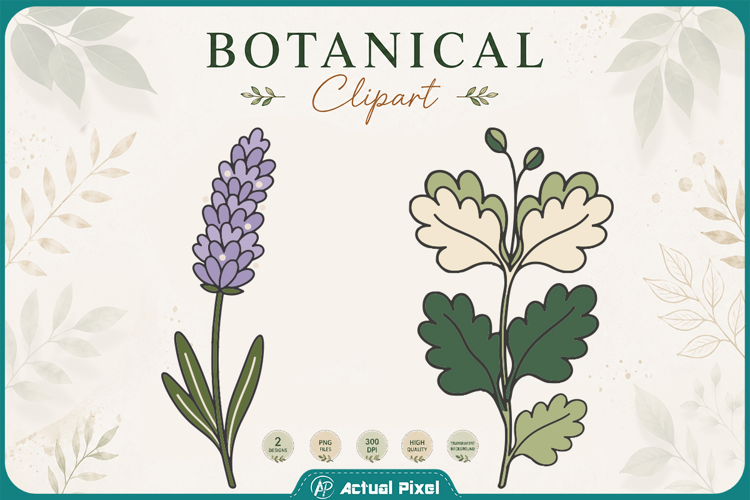 Boho Botanical Leaves & Foliage Cliparts