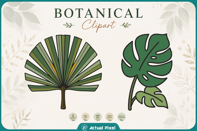 Boho Botanical Leaves & Foliage Cliparts
