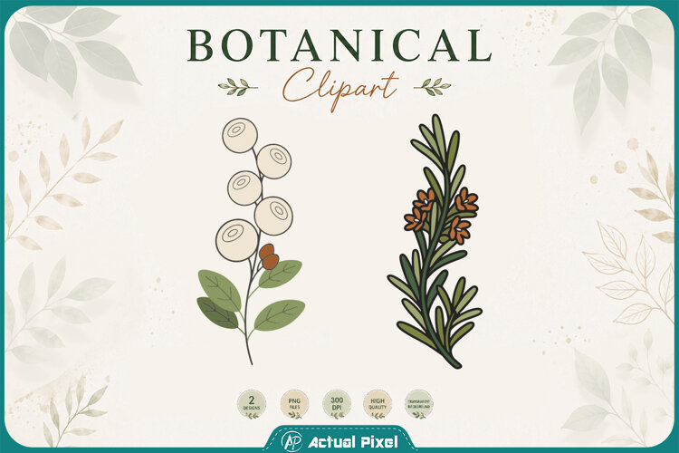 Boho Botanical Leaves & Foliage Cliparts example image 1