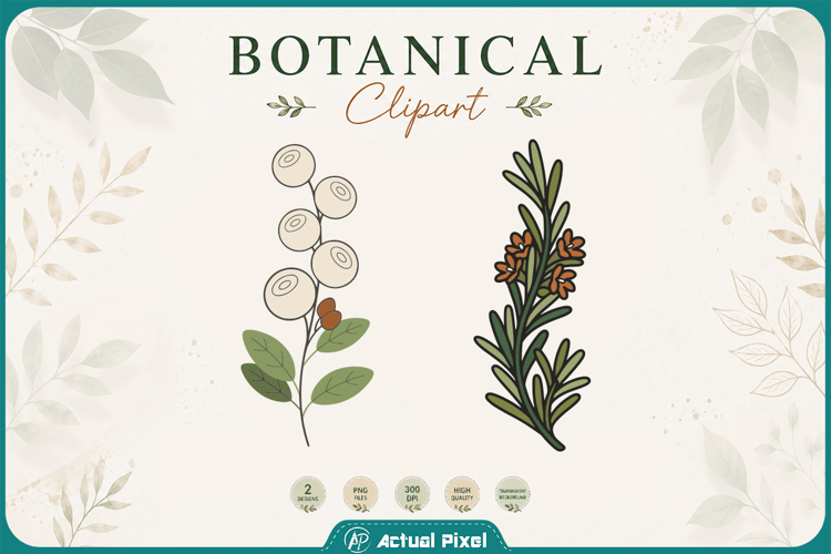 Boho Botanical Leaves & Foliage Cliparts