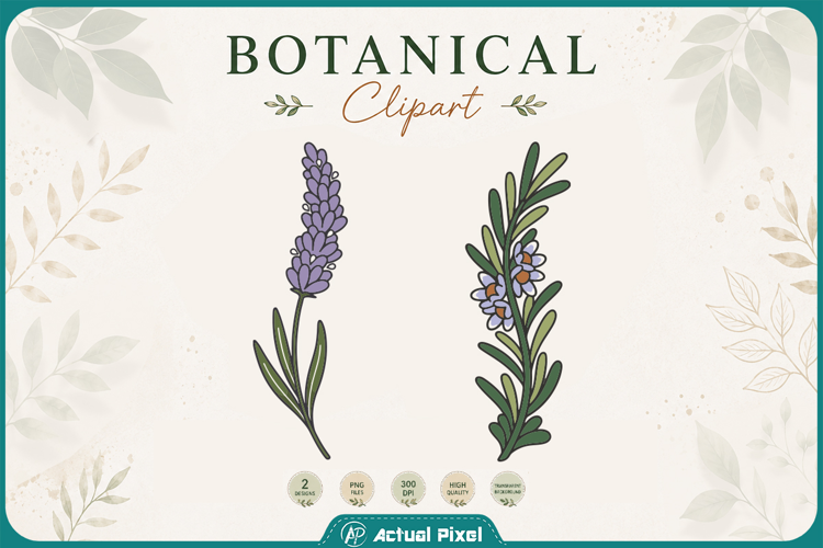 Boho Botanical Leaves & Foliage Cliparts