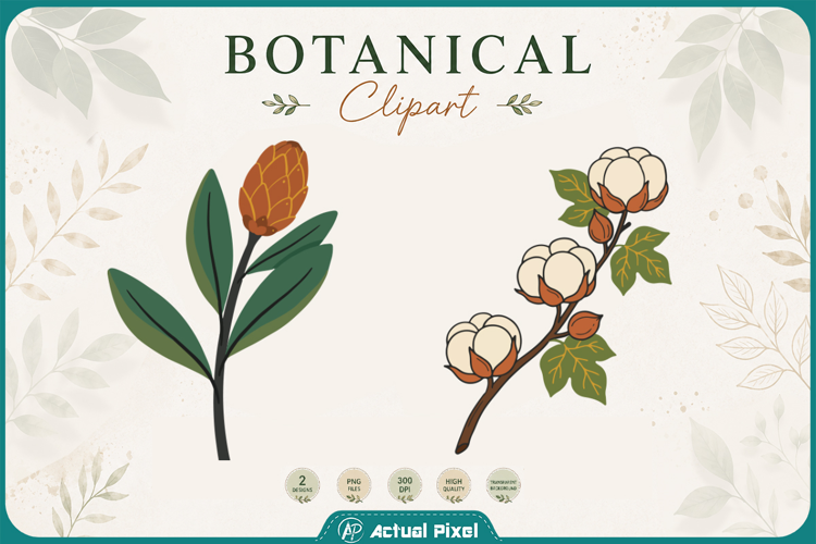Boho Botanical Leaves & Foliage Cliparts