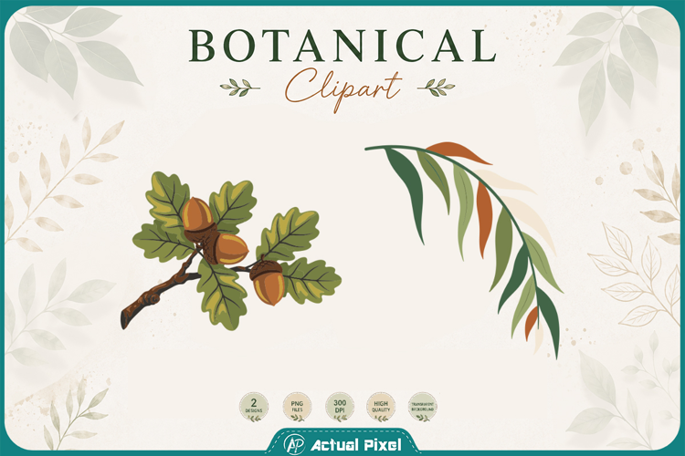 Boho Botanical Leaves & Foliage Cliparts