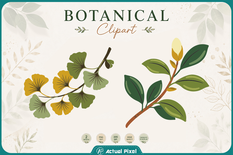Boho Botanical Leaves & Foliage Cliparts