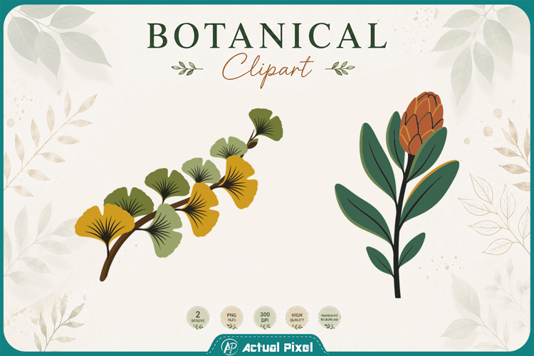 Boho Botanical Leaves & Foliage Cliparts
