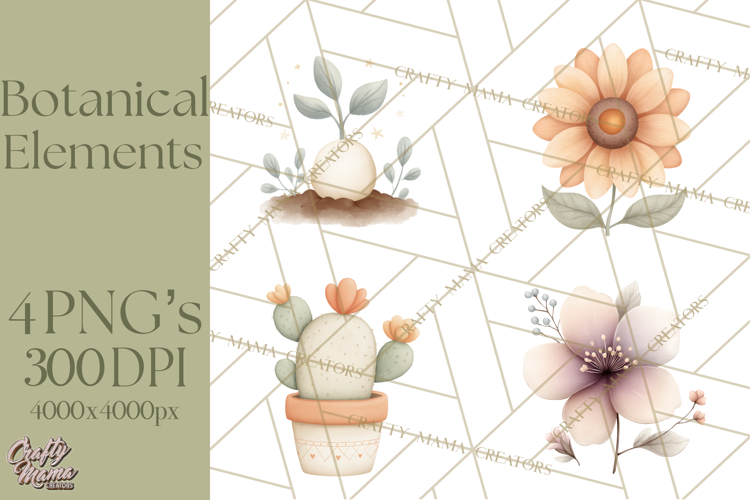 Botanical Clipart Leaves Flowers Succulents Branches PNG