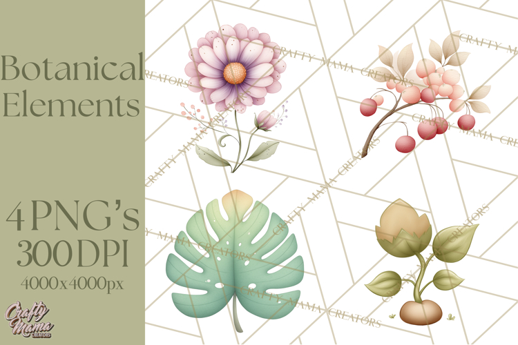 Botanical Clipart Leaves Flowers Succulents Branches PNG