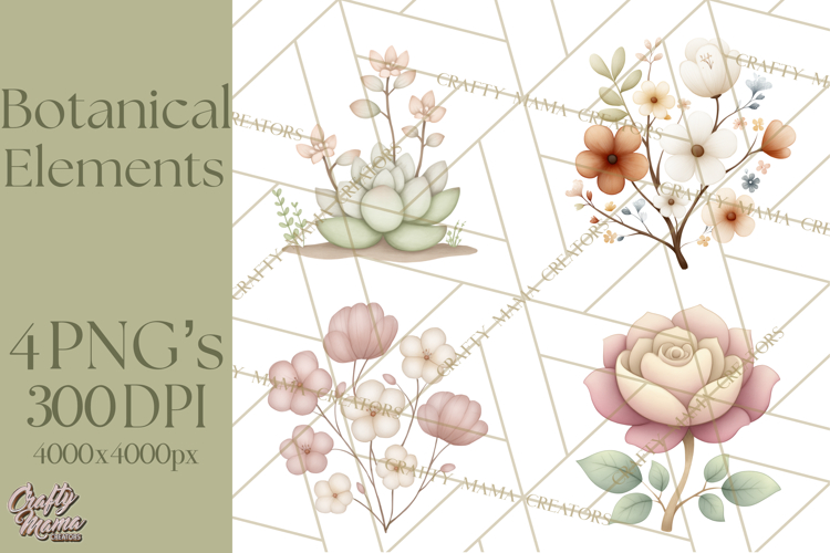 Botanical Clipart Leaves Flowers Succulents Branches PNG